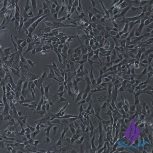 PSCPRO2® - 1M